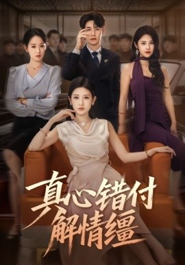 真心错付解情缰第05集
