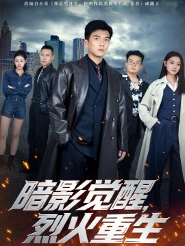 暗影觉醒，烈火重生第30集