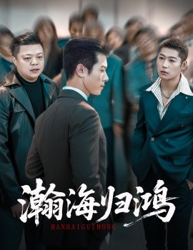 瀚海归鸿第40集