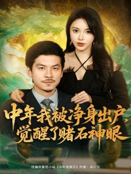 中年我被净身出户，觉醒了赌石神眼第55集