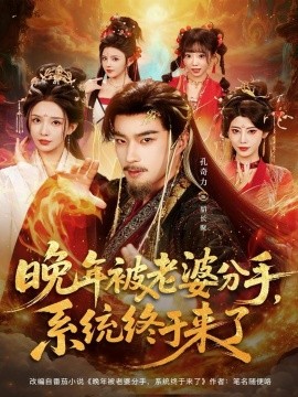 晚年被老婆分手，系统终于来了第12集