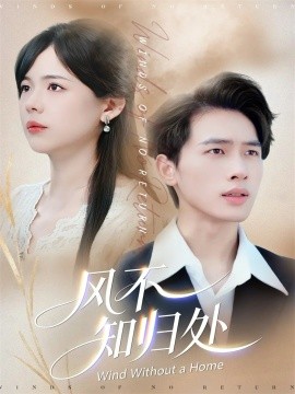 风不知归处第35集
