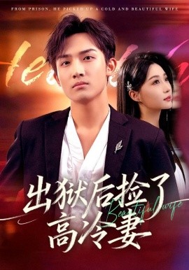 出狱后捡了高冷妻第27集
