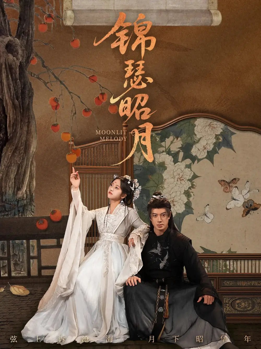 锦瑟昭月第01集