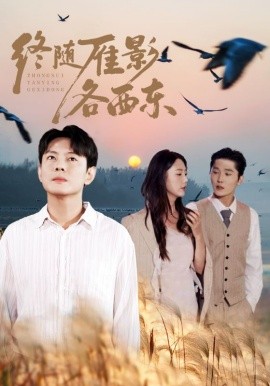 终随雁影各西东第01集