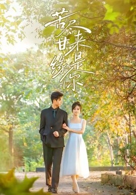 苦尽甘来缘是你第01集