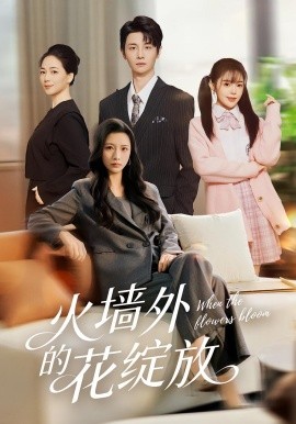 火墙外的花绽放第41集