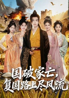 国破家亡，复国路上尽风流第20集