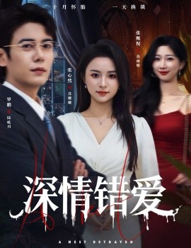 深情错爱 鸠占鹊巢第24集