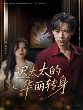 迟太太的华丽转身第01集