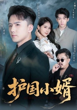 护国小婿第50集