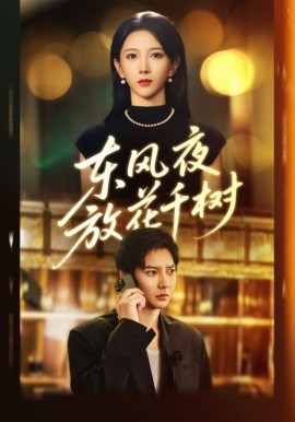 东风夜放花千树 燕西误尽瑶台月第01集