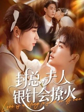 封总，夫人银针会撩火第01集