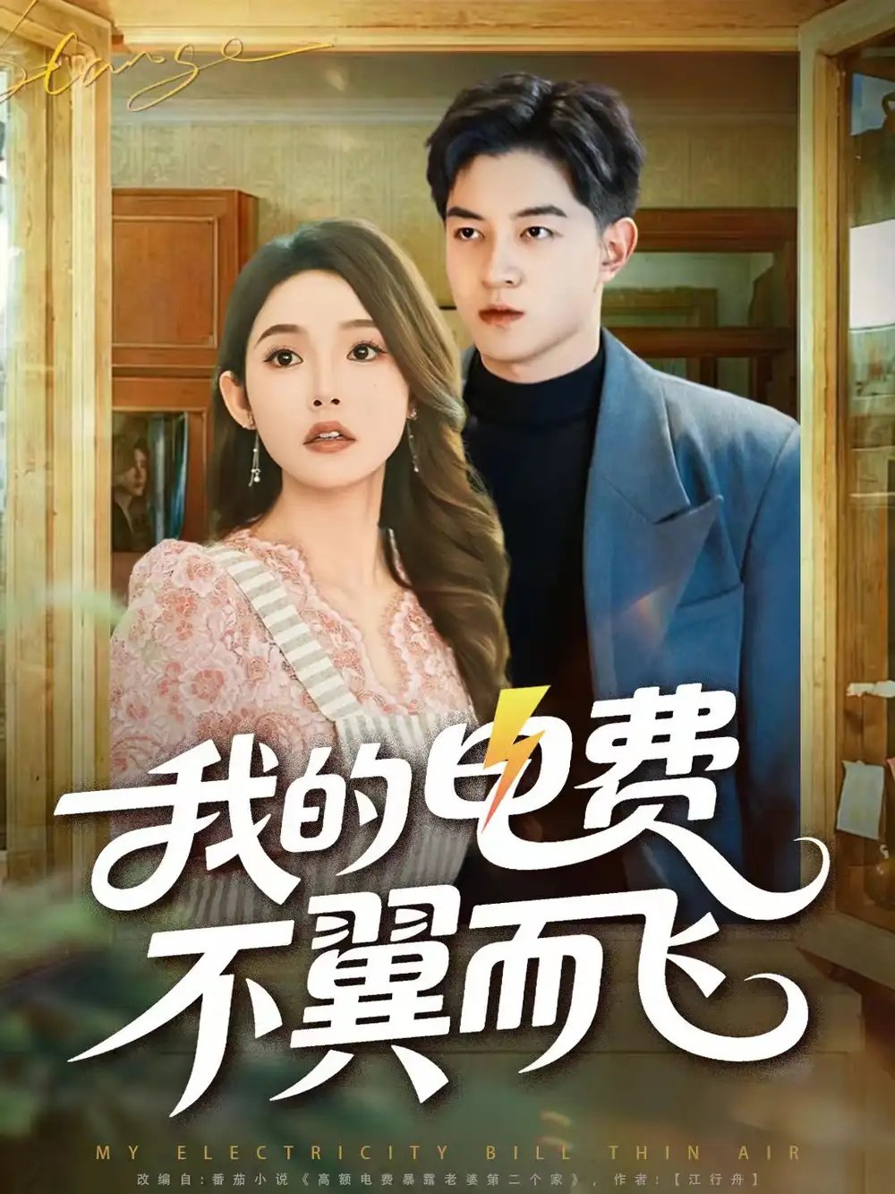 我的电费不翼而飞第19集