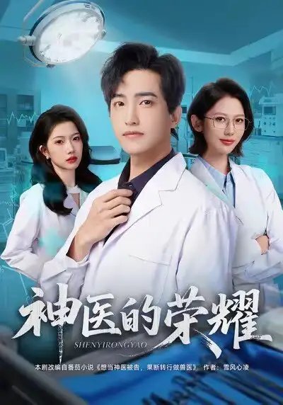 神医的荣耀第14集