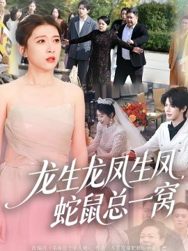 龙生龙凤生凤，蛇鼠总一窝第04集