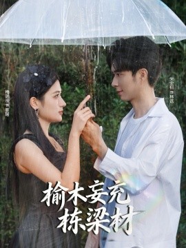 榆木妄充栋梁材第01集