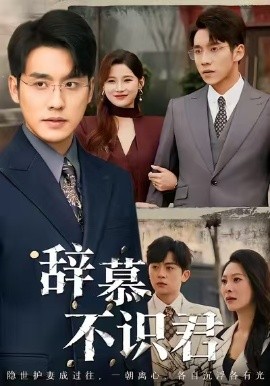 辞慕不识君 七年情深终成侮第28集