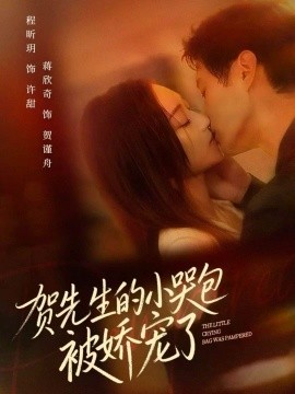 贺先生的小哭包被娇宠了第01集