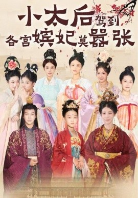 小太后驾到，各宫嫔妃莫嚣张第01集