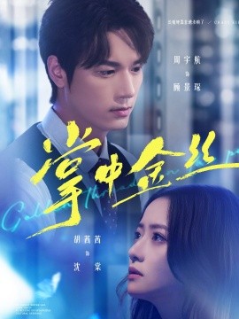 掌中金丝 长姐她竟是隐藏大佬第01集