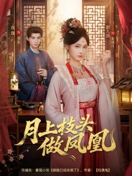 月上枝头做凤凰第01集