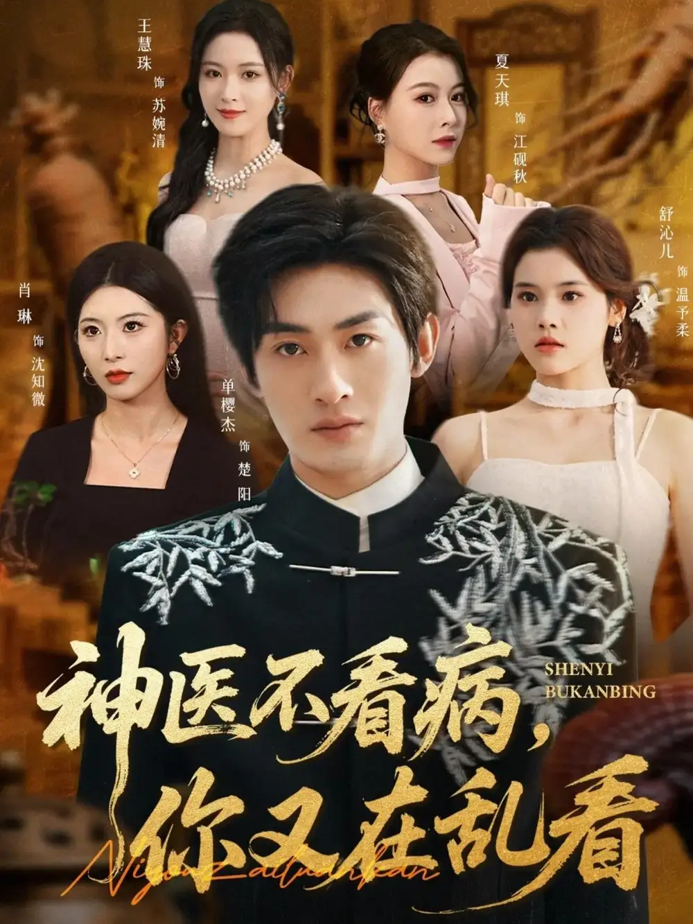 神医不看病，你又在乱看第17集