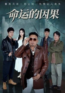 命运的因果第41集