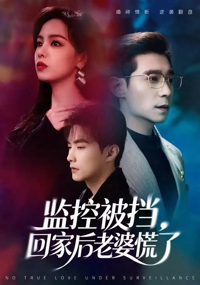 监控被挡，回家后老婆慌了第20集