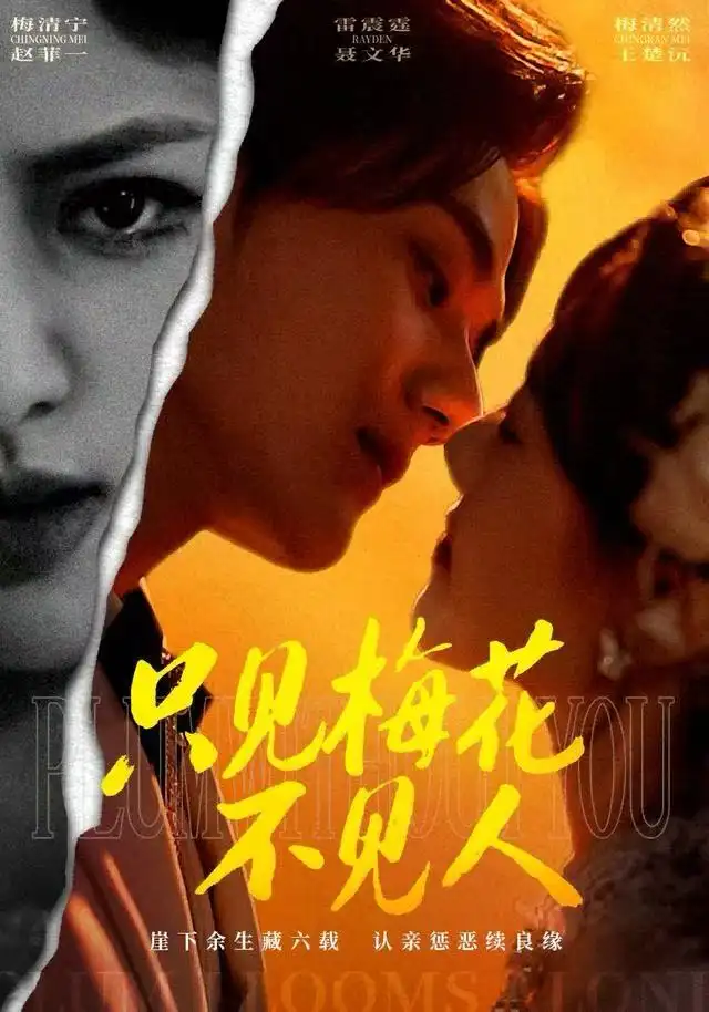 只见梅花不见人第23集