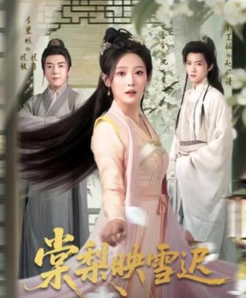 棠梨映雪迟第27集