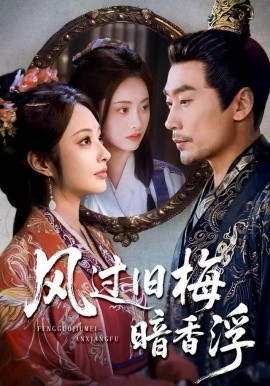 风过旧梅暗香浮 枯梅待故人第27集