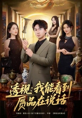 透视：我能看到赝品在说话第11集