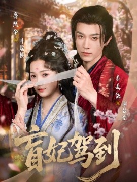 盲妃驾到第18集