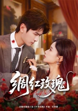 绸红玫瑰第09集