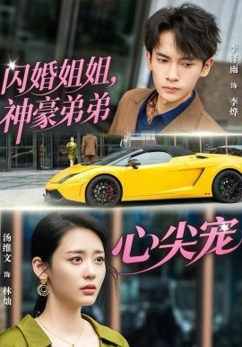 闪婚姐姐，神豪弟弟心尖宠第04集