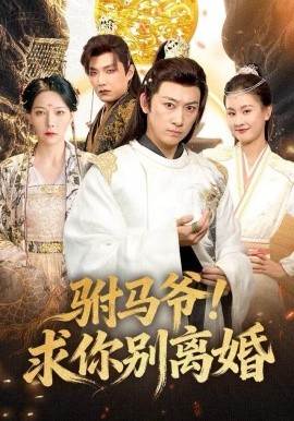 驸马爷！求你别离婚第28集