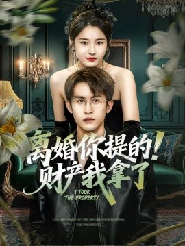 离婚你提的！财产我拿了第39集