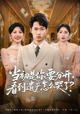 当初是你要分开，看到遗产怎么哭了？第37集