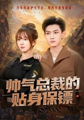 帅气总裁的贴身保镖第01集