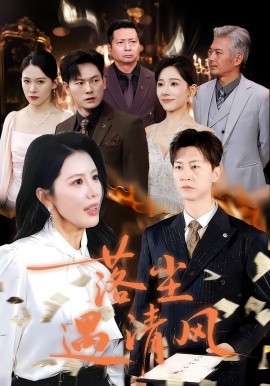 落尘遇清风 离婚而已第40集