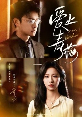 爱止青梅第01集