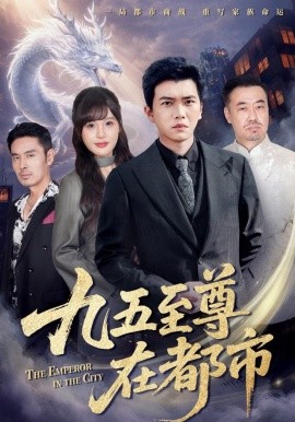九五至尊在都市第66集