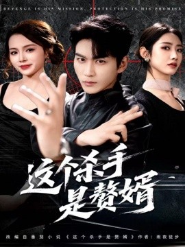 这个杀手是赘婿第33集