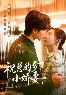 祝总的乡下小娇妻第54集