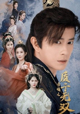 夺嫡之质子无双第08集