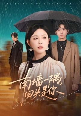 南墙一隅，回头是你第14集