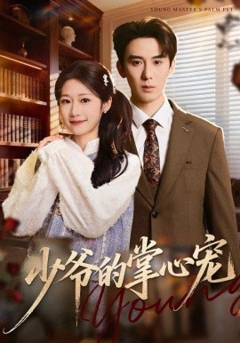 少爷的掌心宠第31集