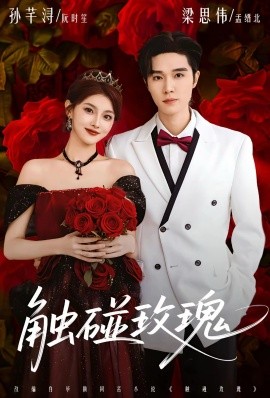 触碰玫瑰第01集