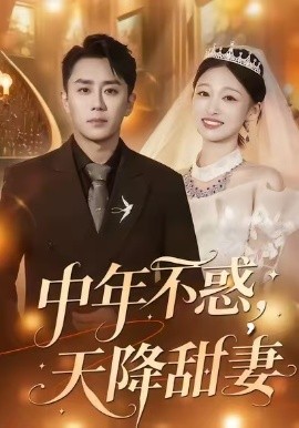 中年不惑，天降甜妻第03集